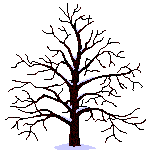 Arbre
